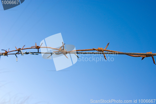 Image of  barbed wire - no freedom