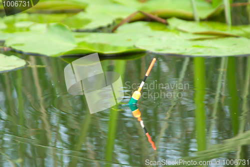 Image of watch a float