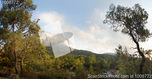 Image of Nature panorama