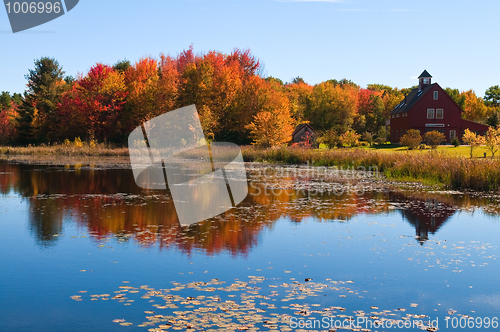 Image of Pond