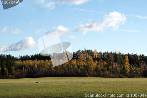 Image of Light Escaping Forest and Field