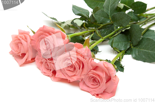 Image of Three roses lies