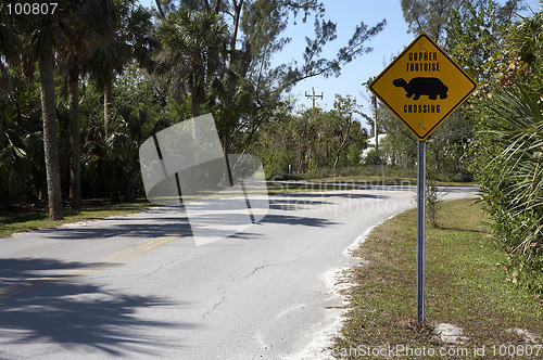 Image of Gopher tortoise sign