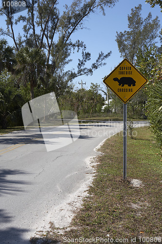 Image of Gopher tortoise sign