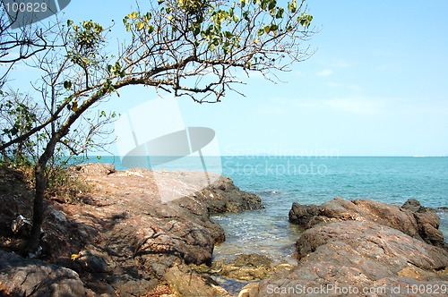 Image of Beach with big stones and a tree