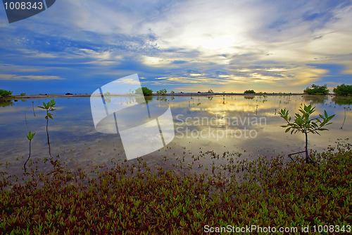 Image of Bonaire lake