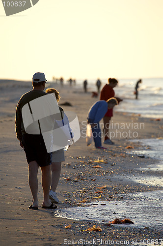 Image of Early morning avid shell hunters