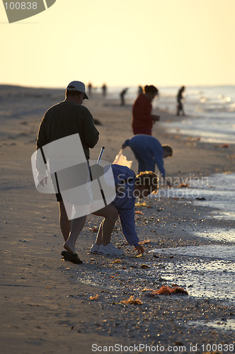 Image of Early morning avid shell hunters