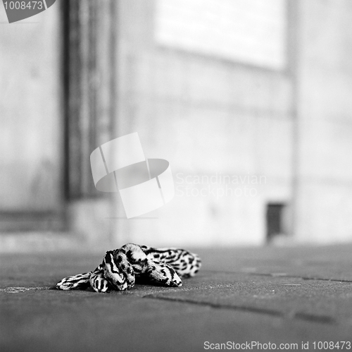 Image of Lost Glove