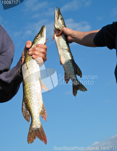 Image of fishing luck