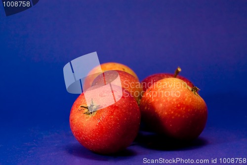 Image of Christmas apples