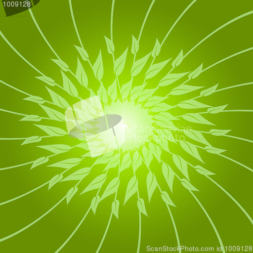 Image of Abstract background of green leaves