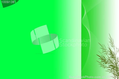 Image of Abstract background of green