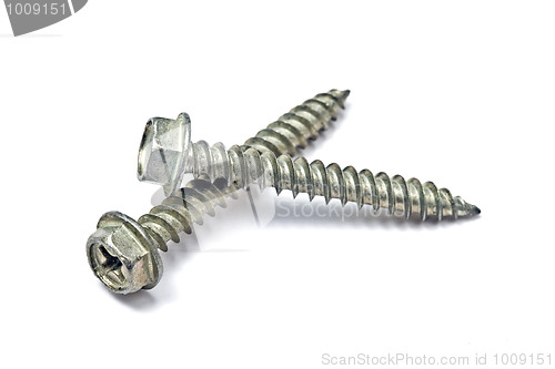 Image of Two screws isolated on white 