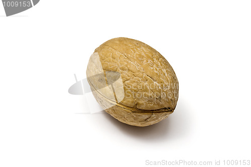 Image of A walnut isolated on white 