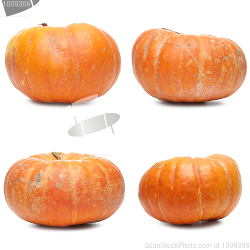 Image of Four fresh pumpkin