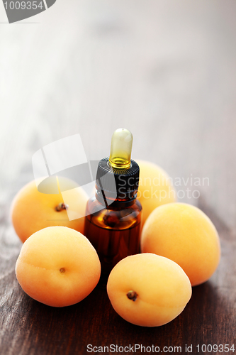 Image of apricot essential oil