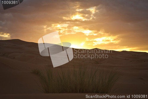 Image of Sunrise in Sahara Desert