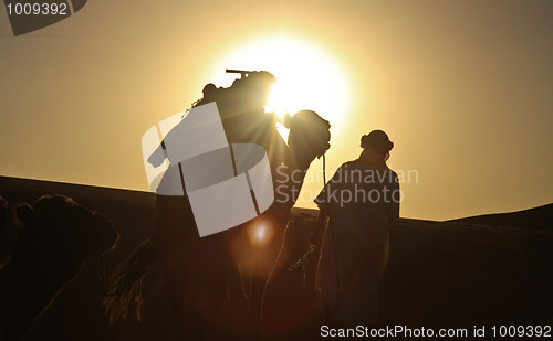 Image of Safari in Sahara