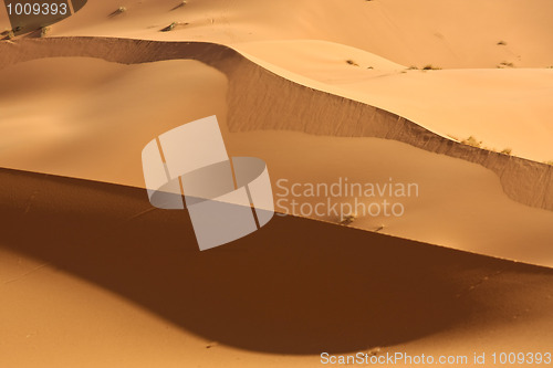 Image of Sahara Dunes