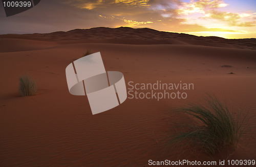 Image of Sunrise in Desert