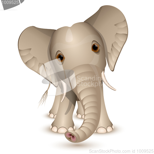 Image of Little elephant