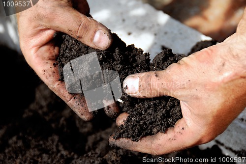 Image of Black soil