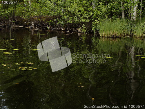 Image of Pond bench