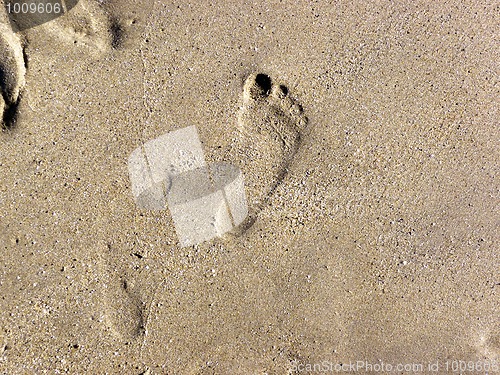 Image of Footprint