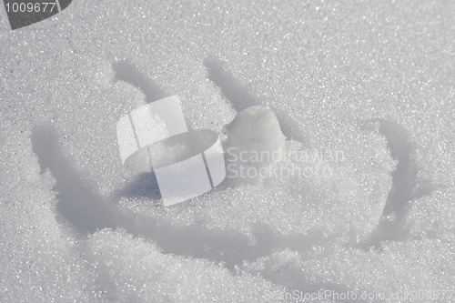 Image of Snow Smile