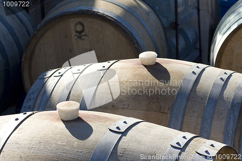 Image of Wine Barrels