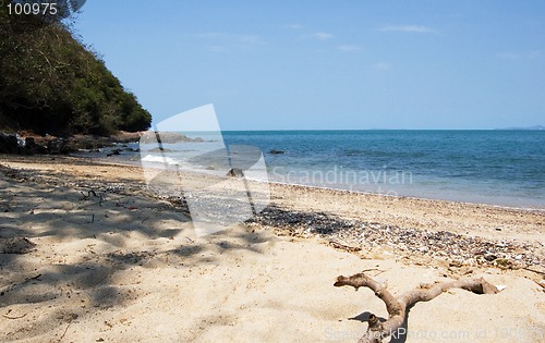 Image of Stick on the beach