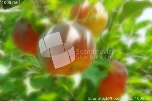 Image of abstract apple