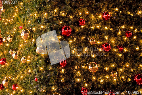 Image of christmas tree details