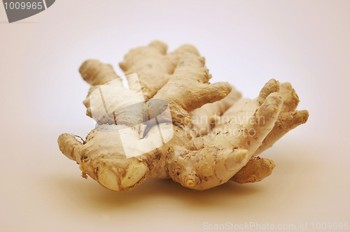 Image of Ginger