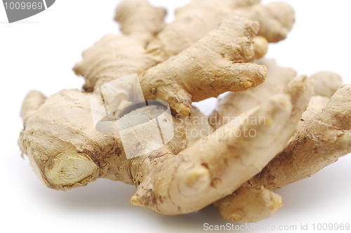 Image of Ginger