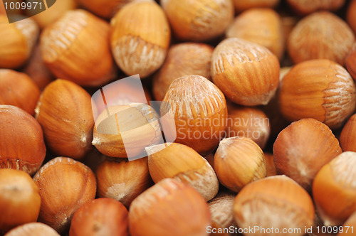 Image of Hazelnut