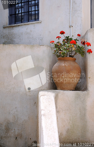 Image of Flowers in Large Ceramic Vase