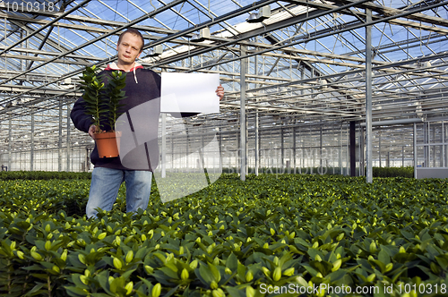 Image of Blank sign in a glasshouse