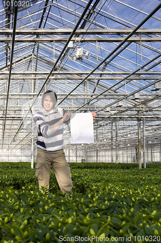 Image of Blank sign in a glasshouse