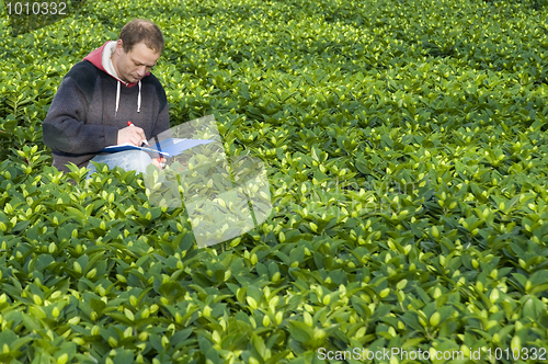 Image of Taking notes