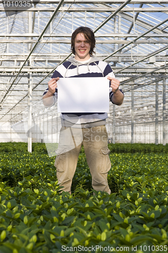 Image of Blank sign in a glasshouse