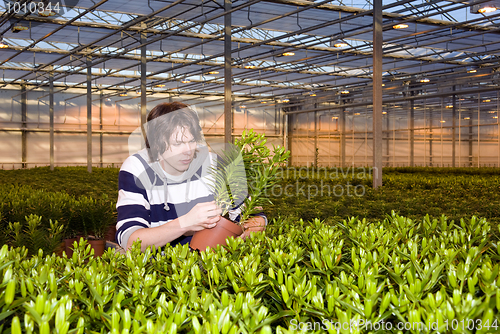 Image of Checking plants