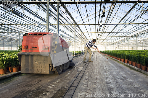 Image of Cleaning a glasshouse