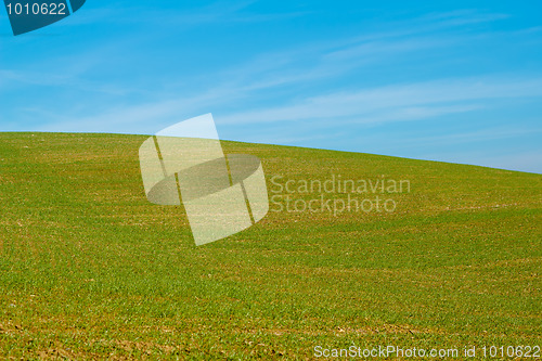 Image of Nice autumn field with clear horizont and blue sky