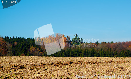 Image of Autumn lanscape colour trees and meadow