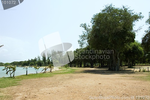 Image of Beach