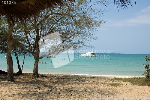 Image of Beach