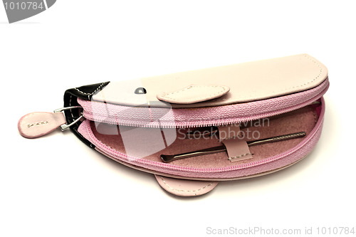 Image of Pink manicure case 