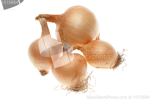 Image of Four ripe onions